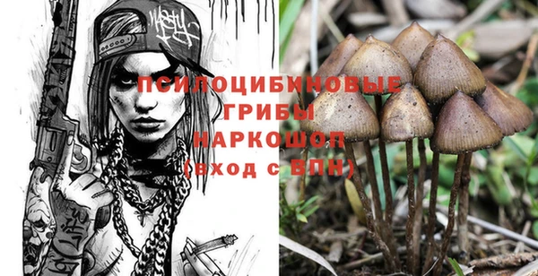 экстази Кукмор