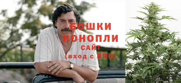 прущие грибы Ижевск
