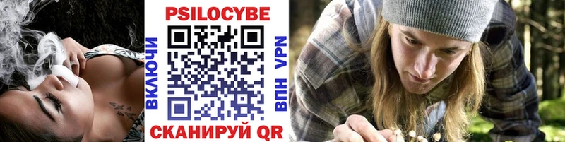 Псилоцибиновые грибы Cubensis  Уржум 